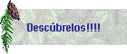 Descbrelos!!!!