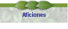 Aficiones