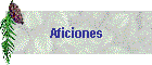 Aficiones