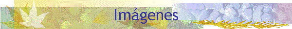 Imgenes