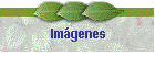 Imgenes