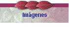 Imgenes