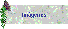 Imgenes