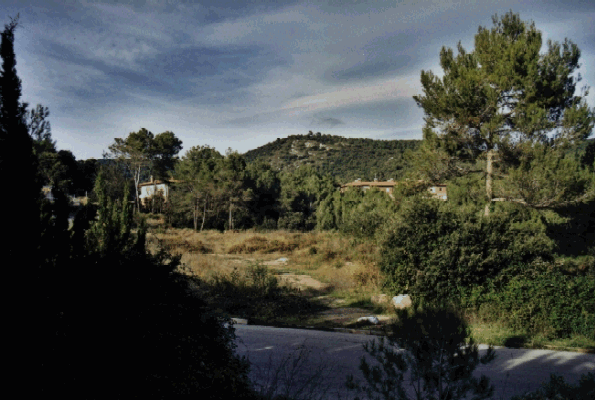 grande.gif (140601 bytes)